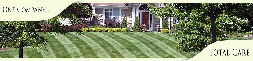 well manicured lawn back dropped by well trimmed landscape plants